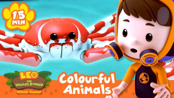 MOST COLOURFUL ANIMALS IN THE WORLD! 🌈 | Leo the Wildlife Ranger | Educational Animal Cartoons - Kids TV Series, Kingdom Kids Zone - Leo the Wildlife Ranger - Official Channel
