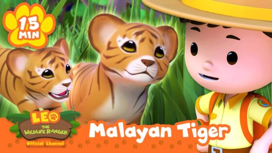 We Found Malayan Tigers in the Wild! | Leo the Wildlife Ranger | Learning Animal Cartoons - Kids TV Series, Kingdom Kids Zone - Leo the Wildlife Ranger - Official Channel