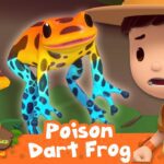 STAY CLEAR FROM COLOURFUL POISONOUS FROGS ! | Leo the Wildlife Ranger | Learning Animal Cartoons - Kids TV Series, Kingdom Kids Zone - Leo the Wildlife Ranger - Official Channel