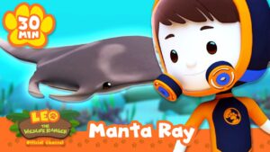 What is this Big Flat Fish in the Ocean?! | Leo the Wildlife Ranger | Learning Animal Cartoons - Kids TV Series, Kingdom Kids Zone - Leo the Wildlife Ranger - Official Channel