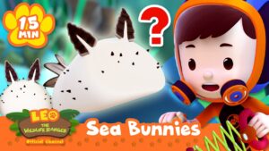 Are these Bunnies living Underwater?! | Leo the Wildlife Ranger | Learning Animal Cartoons - Kids TV Series, Kingdom Kids Zone - Leo the Wildlife Ranger - Official Channel