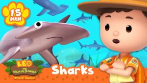 🦈 It's Shark Awareness Day! | Leo the Wildlife Ranger | Learning Animal Cartoons - Kids TV Series, Kingdom Kids Zone - Leo the Wildlife Ranger - Official Channel
