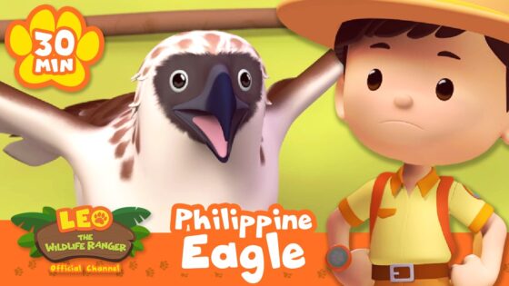 CAN THE JUNIOR RANGERS HELP THE EAGLE FLY? | Leo the Wildlife Ranger | Educational Animal Cartoons - Kids TV Series, Kingdom Kids Zone - Leo the Wildlife Ranger - Official Channel