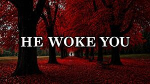 When You Wake in the Night | 8 Hour Prayer to Help You Rest Again - Hope & Healing, Meditations - Atmosphere of Grace