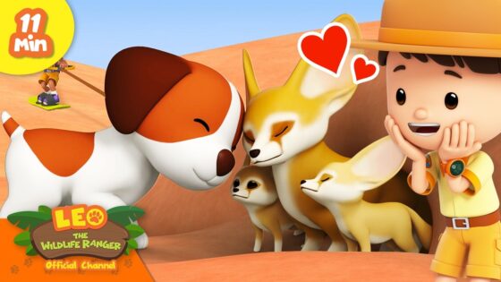 Fennec Foxes are the Cutest Desert Animals! | Leo the Wildlife Ranger | Learning Animal Cartoons - Kingdom Kids Zone, Shows - Leo the Wildlife Ranger - Official Channel