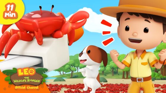 Leo Finds a whole ARMY of Crabs at the Beach! | Full Episode | Leo the Wildlife Ranger - Kingdom Kids Zone, Shows - Leo the Wildlife Ranger - Official Channel