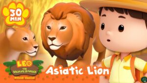 SAVE THE ASIATIC LIONS FROM BEING TRAPPED! | Leo the Wildlife Ranger | Learning Animal Cartoons - Kids TV Series, Kingdom Kids Zone - Leo the Wildlife Ranger - Official Channel