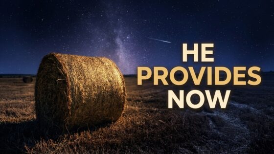 God Still Provides in a Hard Season | 8 Hour Sleep Prayer - Hope & Healing, Meditations - Atmosphere of Grace