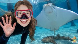 Silly Miss Lily Goes Swimming w/ Stingrays & Sharks at an Interactive Aquarium! Fun Videos for Kids - Kingdom Kids Zone, Little Learners, Shows - Paisley's Corner - Educational Videos for Kids