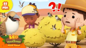 Junior Rangers Help these Sociable Weavers Build their HOME! Full Episode | Leo the Wildlife Ranger - Kingdom Kids Zone, Shows - Leo the Wildlife Ranger - Official Channel
