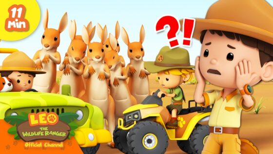 CAN KYLE RETRIEVE HIS FAV TOY FROM THE WILD KANGAROOS? | Leo the Wildlife Ranger | Animal Cartoons - Kingdom Kids Zone, Shows - Leo the Wildlife Ranger - Official Channel