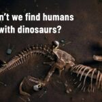 🦖 Why Don't We Find Humans Buried With Dinosaurs? | A Biblical Explanation - Full Movies, Movies & TV - EncourageTV