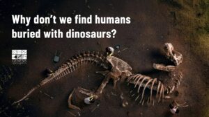 🦖 Why Don't We Find Humans Buried With Dinosaurs? | A Biblical Explanation - Full Movies, Movies & TV - EncourageTV