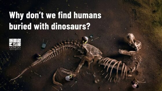 🦖 Why Don't We Find Humans Buried With Dinosaurs? | A Biblical Explanation - Full Movies, Movies & TV - EncourageTV