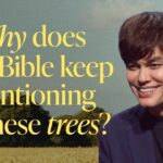 5 Mentions Of Trees In the Bible You Might Not Have Heard Before | Bible Study with Joseph Prince - Healing Grace, Hope & Healing - Joseph Prince
