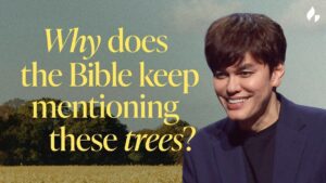 5 Mentions Of Trees In the Bible You Might Not Have Heard Before | Bible Study with Joseph Prince - Healing Grace, Hope & Healing - Joseph Prince