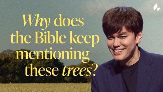 5 Mentions Of Trees In the Bible You Might Not Have Heard Before | Bible Study with Joseph Prince - Healing Grace, Hope & Healing - Joseph Prince