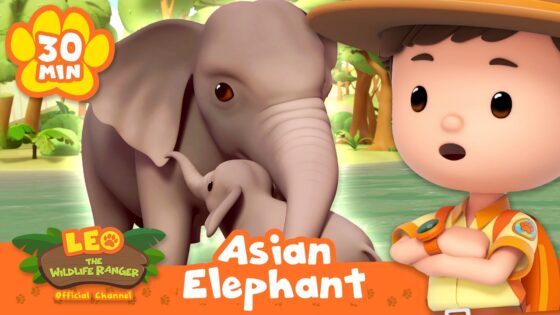 Junior Rangers are on a MISSION to Reunite the Asian Elephant Family! | Leo the Wildlife Ranger - Kids TV Series, Kingdom Kids Zone - Leo the Wildlife Ranger - Official Channel
