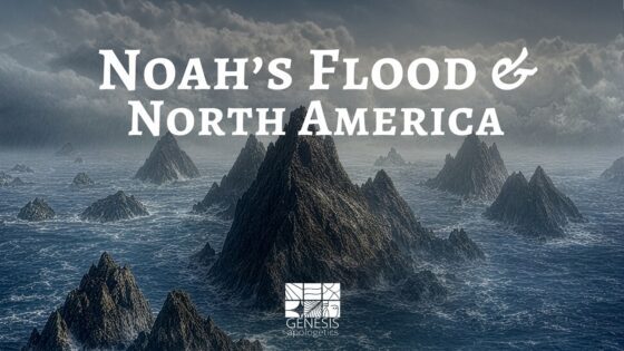 🌊 What Happened to North America During Noah's Flood? | A Biblical Geology Exploration - Full Movies, Movies & TV - EncourageTV