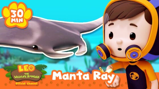 Manta Ray Glides through the Deep Blue Sea! | Leo the Wildlife Ranger | Learning Animal Cartoons - Kids TV Series, Kingdom Kids Zone - Leo the Wildlife Ranger - Official Channel