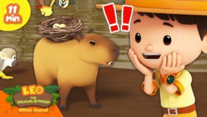 MEET the most SOCIABLE animal in the forest! | Leo the Wildlife Ranger | Kids Educational Cartoons - Kingdom Kids Zone, Shows - Leo the Wildlife Ranger - Official Channel