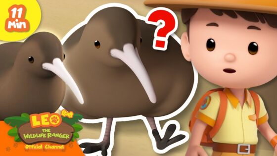 What's this Kiwi looking for? | Leo the Wildlife Ranger | Learning Animal Cartoons - Kingdom Kids Zone, Shows - Leo the Wildlife Ranger - Official Channel
