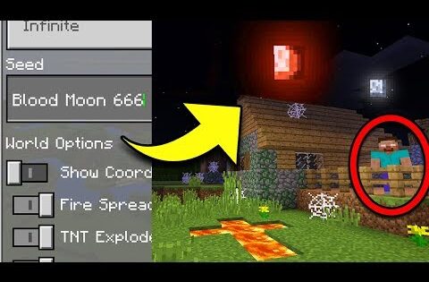 Seeds - Minecraft
