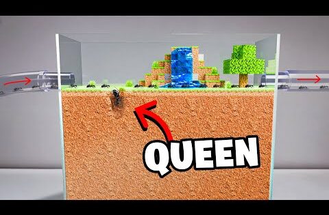 🌍🎮 Minecraft, But Anything You Build, Becomes REAL!