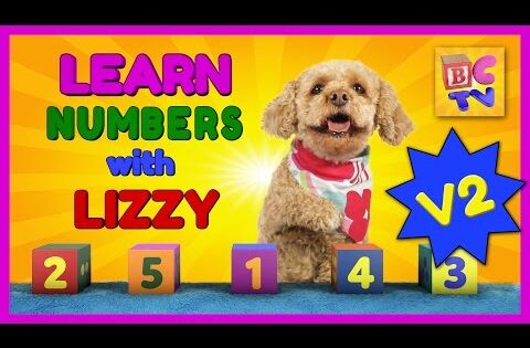 Learn Counting and Math for Kids