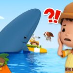 Rangers Communicate with the Humpback Whales! | Leo the Wildlife Ranger | Learning Animal Cartoons - Kingdom Kids Zone, Shows - Leo the Wildlife Ranger - Official Channel