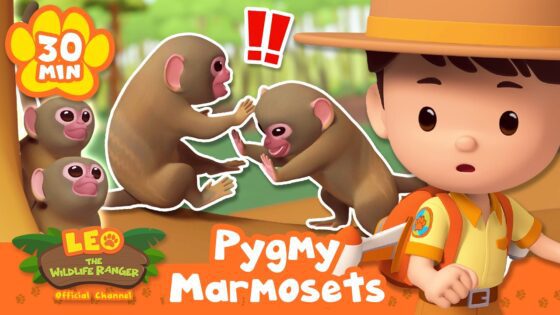 MONKEY BATTLE ON THE TREE! | Leo the Wildlife Ranger | Learning Animal Cartoons - Kids TV Series, Kingdom Kids Zone - Leo the Wildlife Ranger - Official Channel
