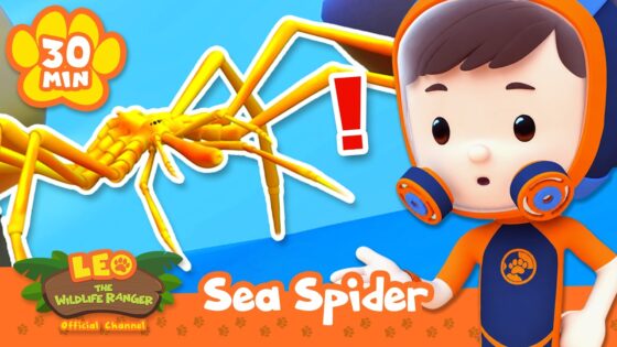 This spider's hard to find underwater! | Leo the Wildlife Ranger | Animal Cartoons - Kids TV Series, Kingdom Kids Zone - Leo the Wildlife Ranger - Official Channel