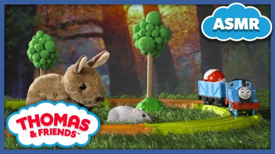 The Sounds of Nature! | Thomas & Friends: Sounds of Sodor | Low Stimulation ASMR for Kids - Kids TV Series, Kingdom Kids Zone - Thomas & Friends