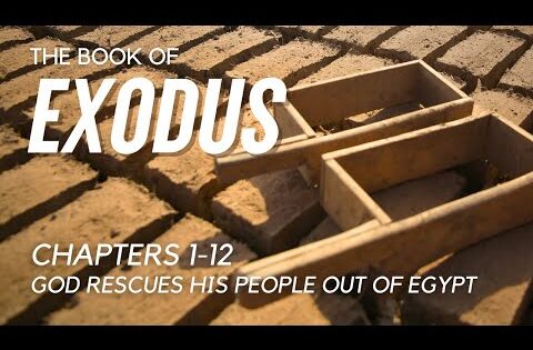 Bible Reading