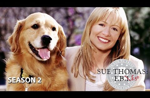 Sue Thomas: F.B. Eye | Season 2 | TV Series