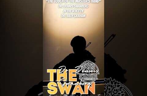 Swan's Audio