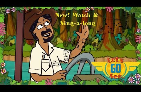 Let's Go See The Amazon - Watch & Read Compilation