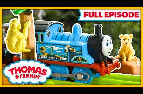 Watch Out Thomas | Full Episodes ​