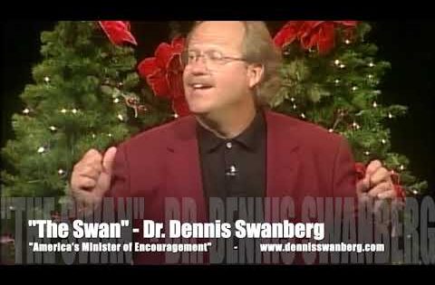 Swan's Christmas