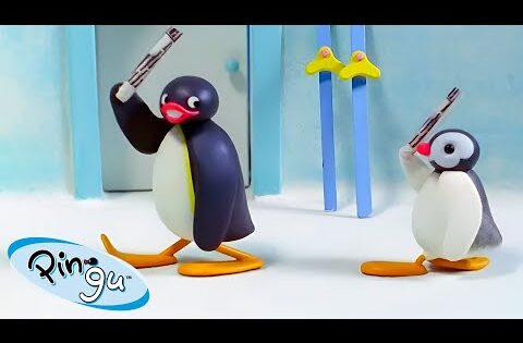 Best of Robby | Pingu Official