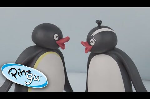 Pingu's Best Winter Moments ❄️ | Pingu Official