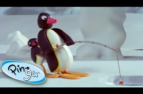 Pingu's Parents | Pingu Official