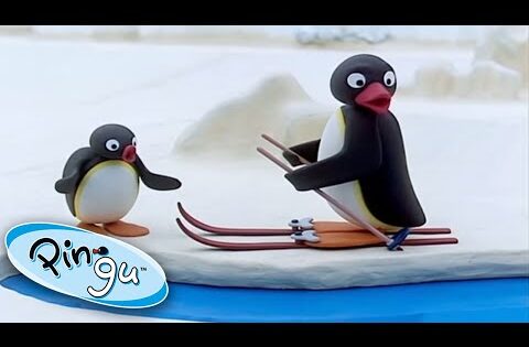 Best of Pingo | Pingu Official