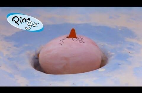 Best of Pinga | Pingu Official