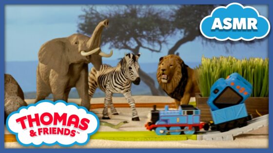Animal Sights and Sounds with Thomas! | Thomas & Friends: Sounds of Sodor | ASMR for Kids - Kids TV Series, Kingdom Kids Zone - Thomas & Friends