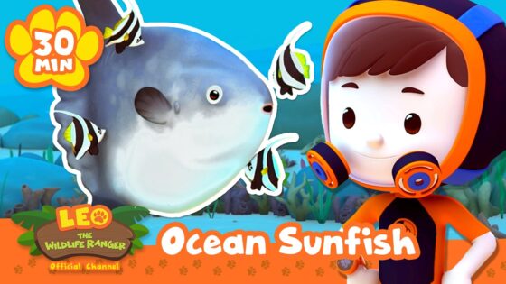 This fish has a feast at the ready ON ITS SKIN! | Leo the Wildlife Ranger | Learning Animal Cartoons - Kids TV Series, Kingdom Kids Zone - Leo the Wildlife Ranger - Official Channel